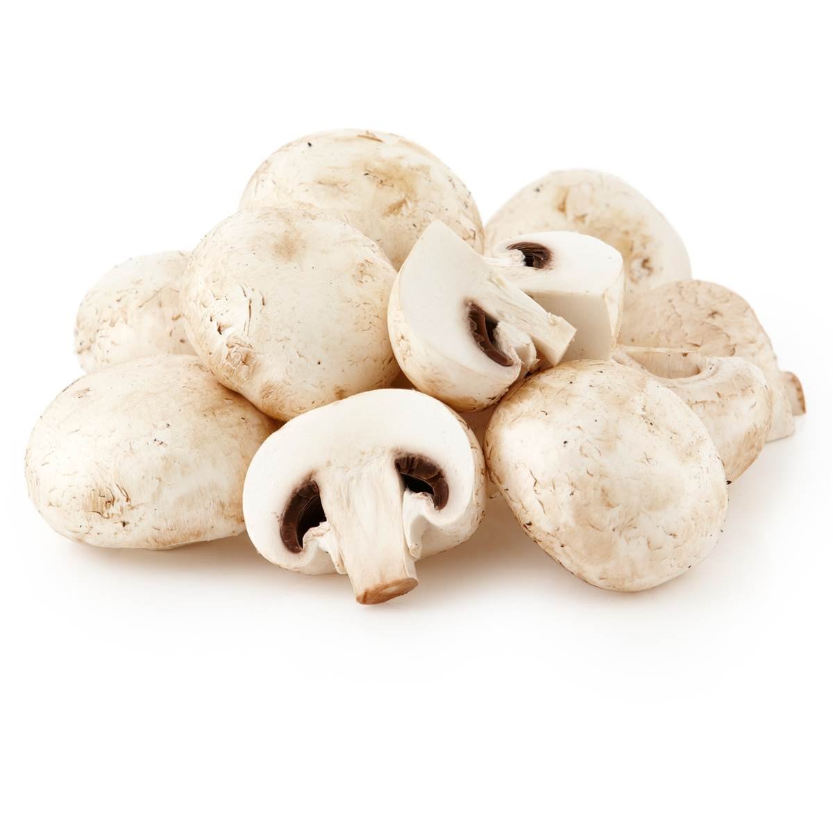 Mushrooms For Gout Is It Really Good For The Condition? Get Rid Of Gout