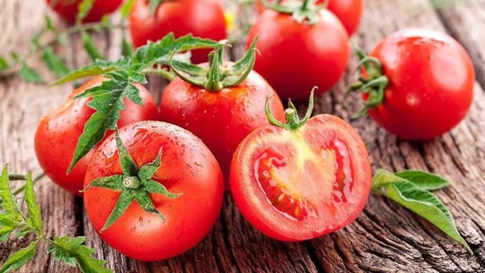 tomatoes and gout