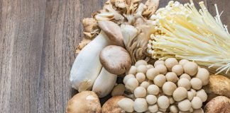 mushrooms and gout