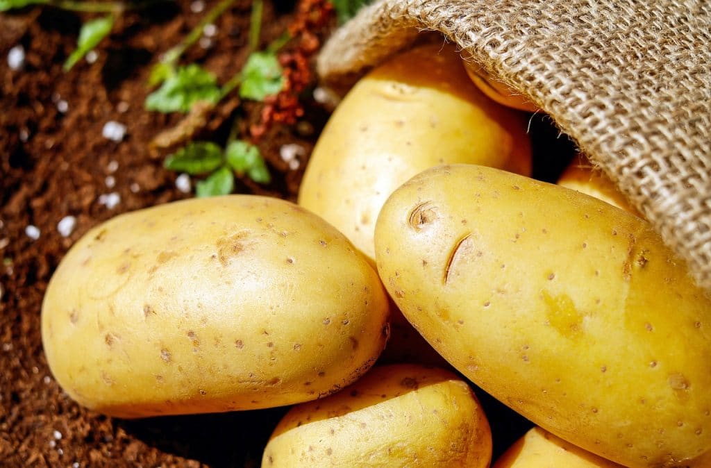Exploring Potatoes: Nutritional Profile and Purine Content