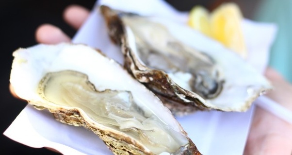Connection Between Oysters And High Purine Content