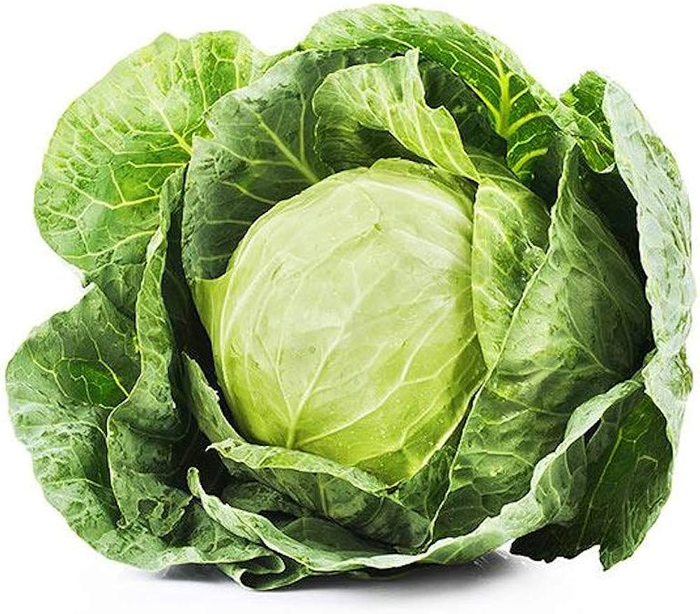Nutritional Power Of Cabbage
