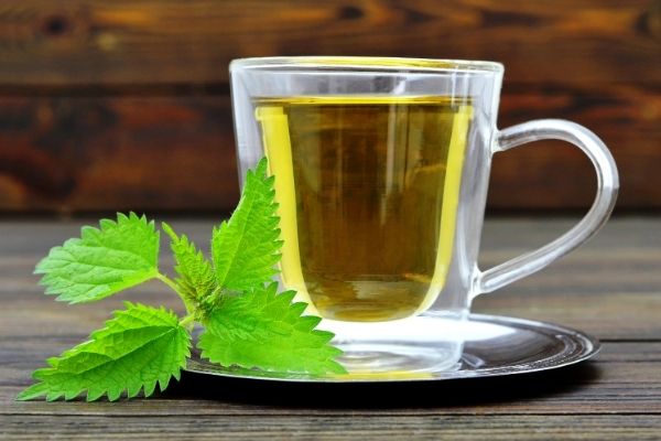 Research On Green Tea And Gout