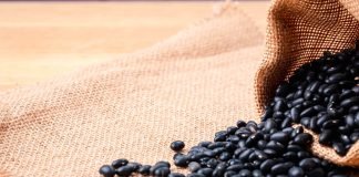 black beans and gout