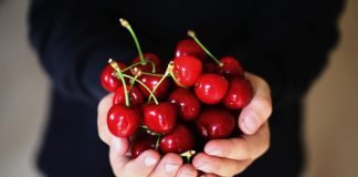 cherries and gout