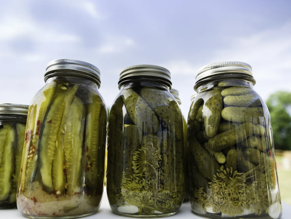 Pickle Juice, Dill Pickles, and Gout Management