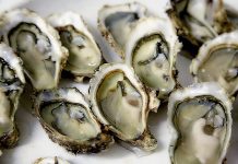 oysters and gout