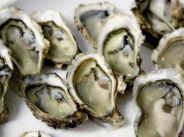 Oysters And Gout: High In Purine And Uric Acid Connection Bad For Gout? oysters and gout