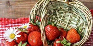 strawberries and gout