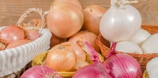 onions and gout