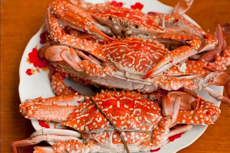 Crab and Gout Diet Navigating A Seafood Delicacy Diet For Gout