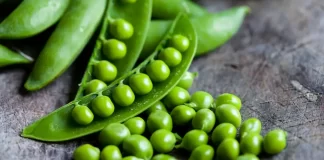 peas and gout