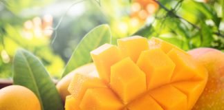 mangoes and gout