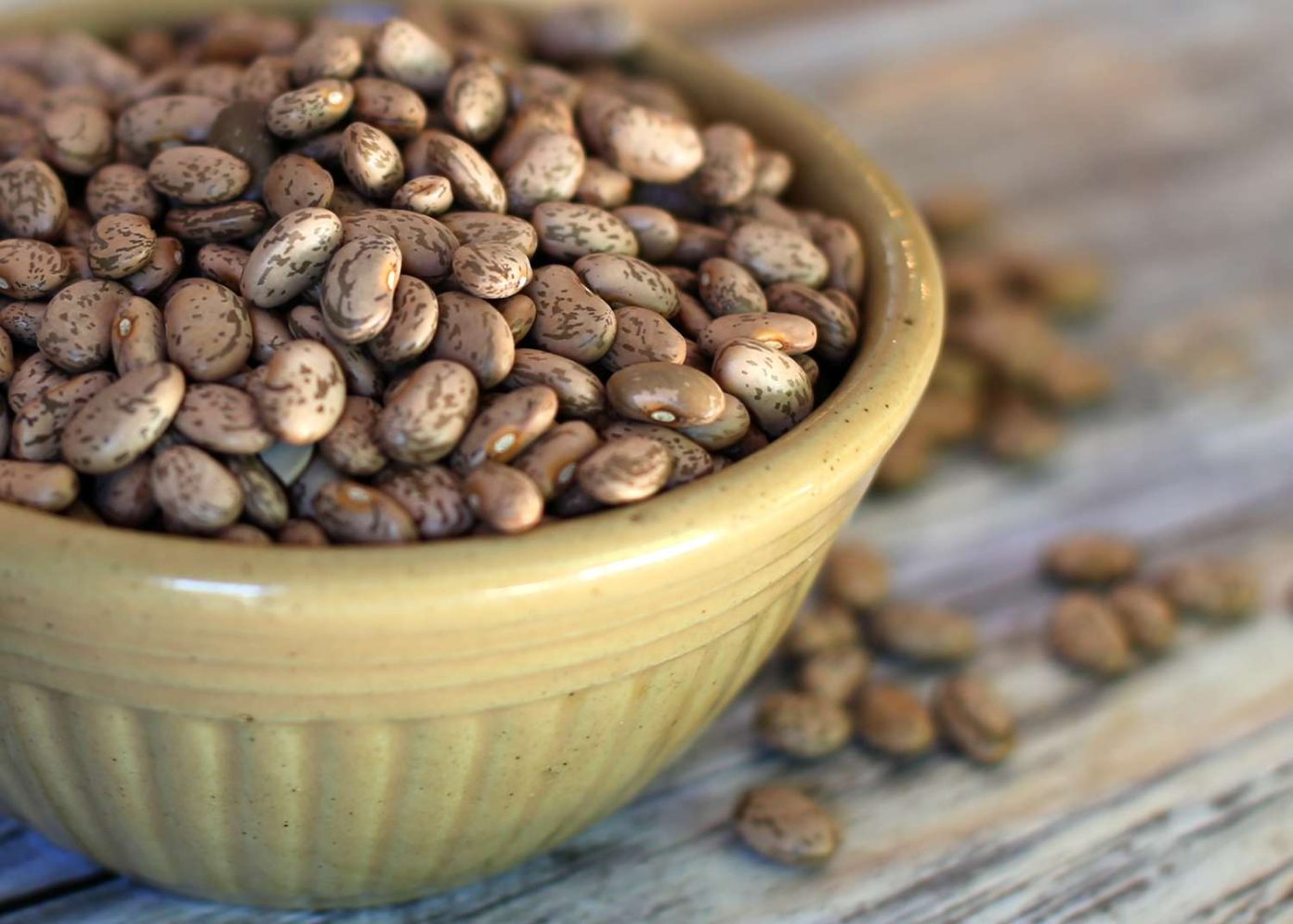 The Potential of Pinto Beans in Gout Diet And Uric Acid Level