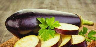 eggplant and gout
